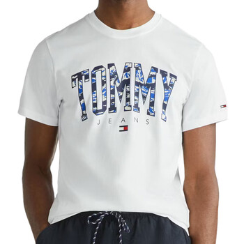 Vêtements Homme T-shirts manches courtes Tommy Hilfiger DM0DM17726 Blanc