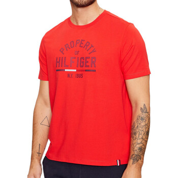 Vêtements Homme T-shirts manches courtes Tommy con Hilfiger MW0MW32641 Rouge