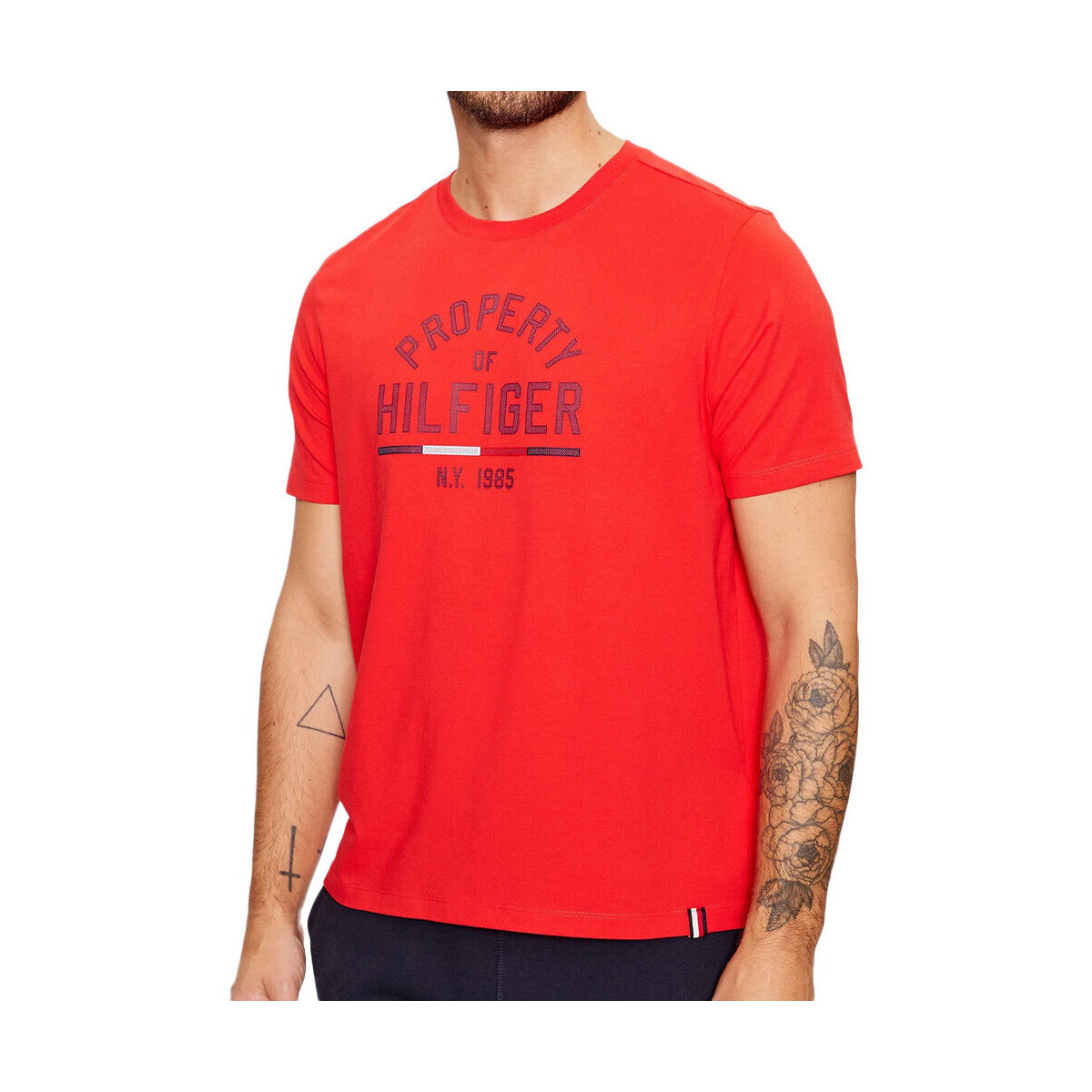Vêtements Homme T-shirts & Polos Tommy Hilfiger MW0MW32641 Rouge