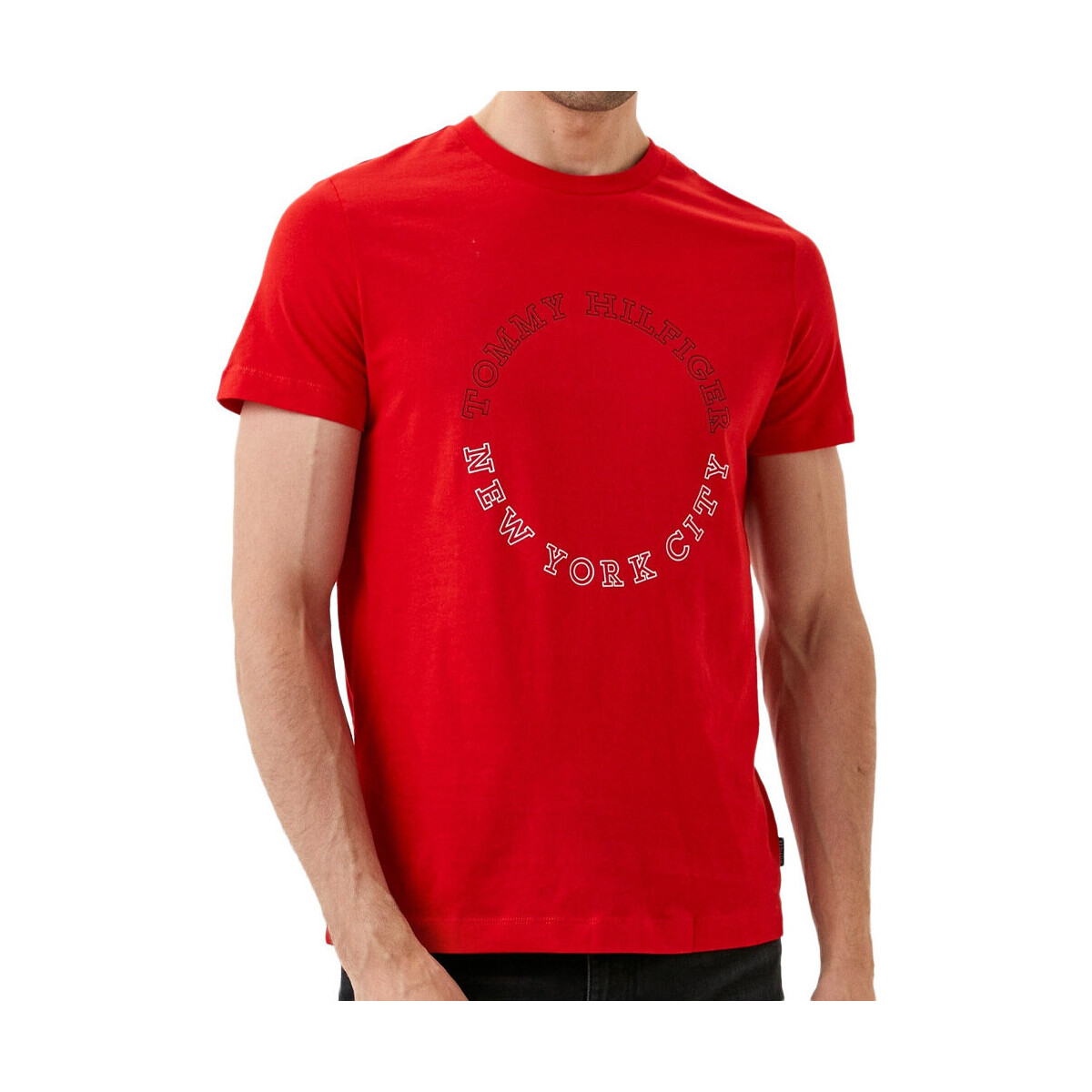 Vêtements Homme T-shirts & Polos Tommy Hilfiger MW0MW32602 Rouge