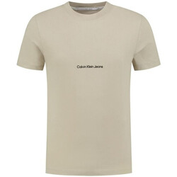 Vêtements Homme T-shirts & Polos Calvin Klein Jeans J30J322848 Gris