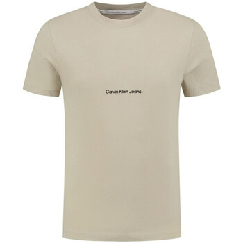 Vêtements Homme T-shirts & Polos Calvin Klein Jeans J30J322848 Gris