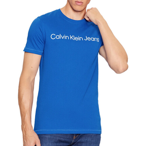 Vêtements Homme Zebra Hooded Sweatshirt Calvin Klein Jeans J30J322344 Bleu