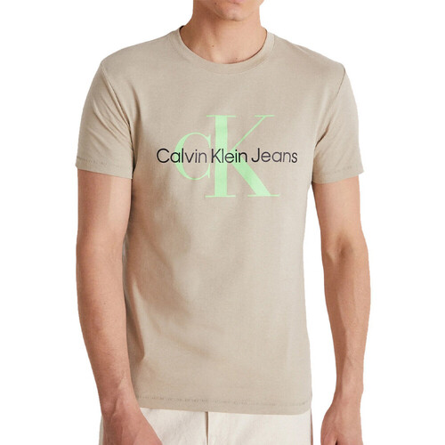 Vêtements Homme T-shirts & Polos Calvin Klein Jeans J30J320806 Beige