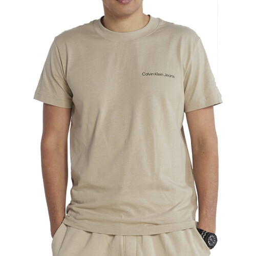 Vêtements Homme T-shirts & Polos Calvin Klein Jeans J30J323993 Beige