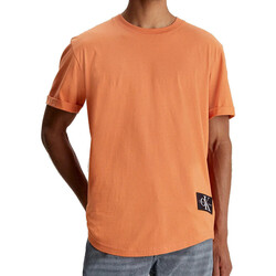 Vêtements Homme T-shirts & Polos Calvin Klein Jeans J30J323482 Orange