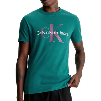 Vêtements Homme T-shirts manches courtes Calvin Klein Jeans J30J320806 Vert