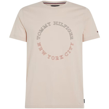Vêtements Homme T-shirts & Polos Tommy Hilfiger MW0MW32602 Rose