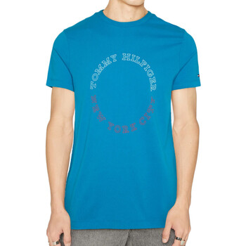 Vêtements Homme T-shirts manches courtes Tommy Pull Hilfiger MW0MW32602 Bleu