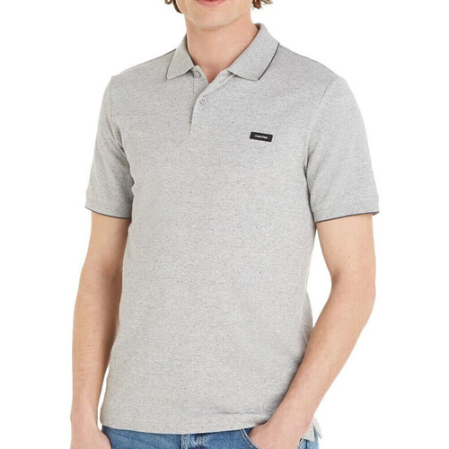 Vêtements Homme T-shirts & Polos Calvin Klein Jeans K10K111869 Gris