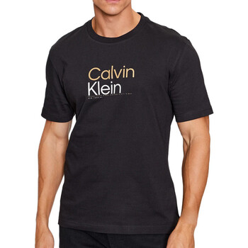 Vêtements Homme T-shirts manches courtes Calvin Klein Jeans K10K111841 Noir