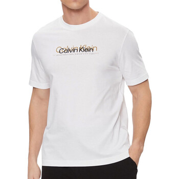 Vêtements Homme T-shirts manches courtes Calvin Klein Shibori-print JEANS K10K111838 Blanc
