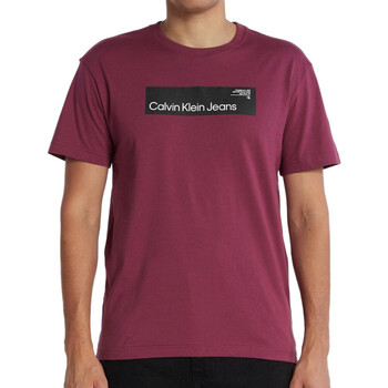 Vêtements Homme T-shirts manches courtes Calvin Klein JEANS baroque J30J324018 Violet