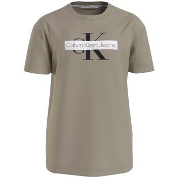 Vêtements Homme T-shirts manches courtes Calvin Klein Jeans J30J324008 Vert