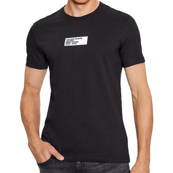 Vêtements Homme T-shirts cinzento manches courtes Calvin Klein Jeans J30J324027 Noir