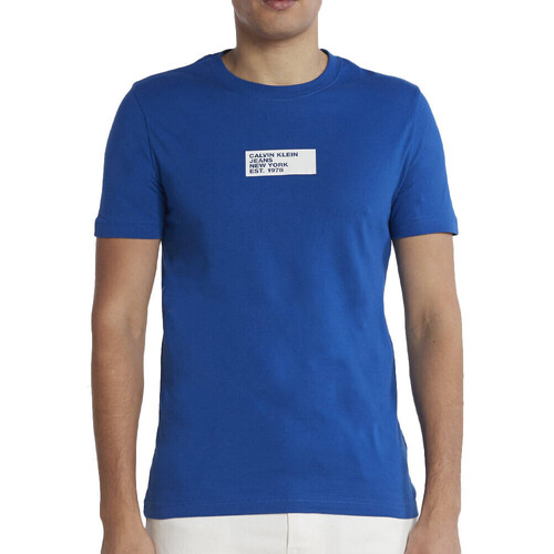 Vêtements Homme T-shirts & Polos Calvin Klein Jeans J30J324027 Bleu