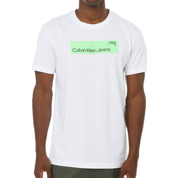 Vêtements Homme T-shirts manches courtes Calvin Klein Jeans J30J324018 Blanc