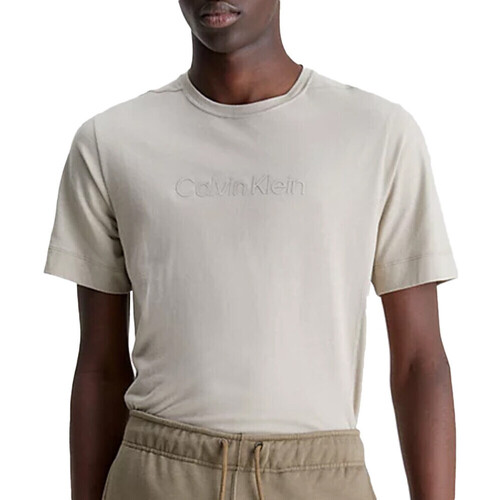 Vêtements Homme T-shirts & Polos Calvin Klein Jeans 00GMS3K108 Beige