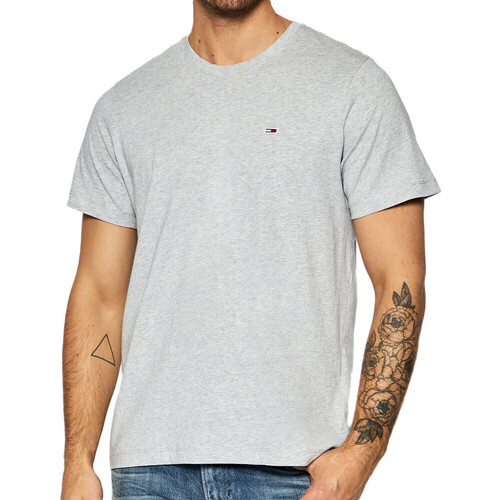 Vêtements Homme Dotted Collared Polo Shirt Tommy Hilfiger DM0DM09598 Gris
