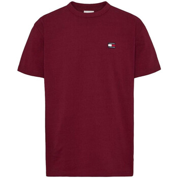 Vêtements Homme T-shirts manches courtes Schwarz Tommy Hilfiger DM0DM17870 Rouge