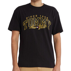 Vêtements Homme T-shirts & Polos Tommy Hilfiger DM0DM17733 Noir