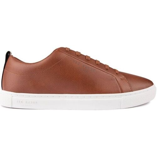 Chaussures Homme Baskets basses Ted Baker Tableaux / toiles Marron