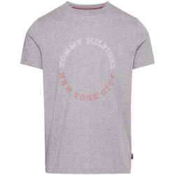 Vêtements Homme T-shirts & Polos Tommy Hilfiger MW0MW32602 Gris