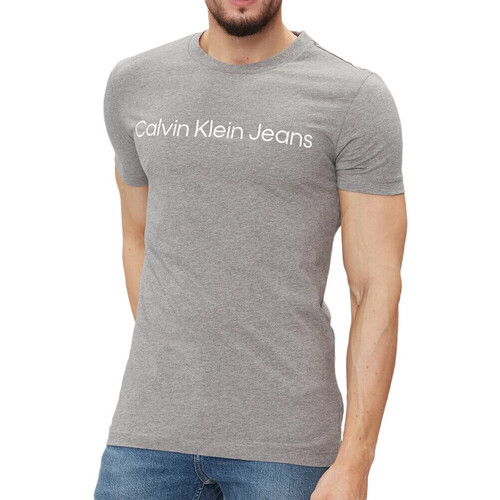 Vêtements Homme T-shirts manches courtes Calvin coin Klein Jeans J30J322552 Gris