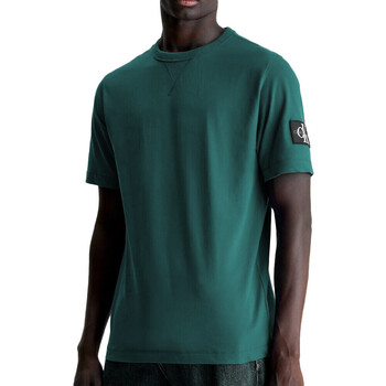 Vêtements Homme T-shirts manches Parlez Calvin Klein Jeans J30J323484 Vert