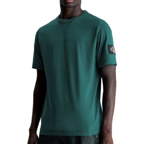 Vêtements Homme T-shirts & Polos Calvin Klein Jeans J30J323484 Vert