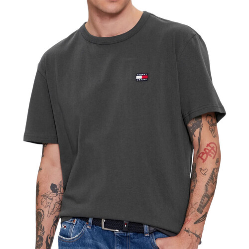 Vêtements Homme Dotted Collared Polo Shirt Tommy Hilfiger DM0DM17870 Gris