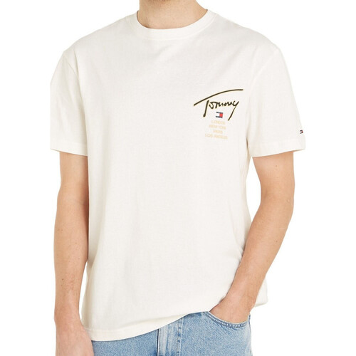 Vêtements Homme T-shirts manches longues Tommy Hilfiger DM0DM17729 Blanc