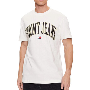 Vêtements Homme T-shirts manches courtes Tommy Hilfiger DM0DM17730 Blanc