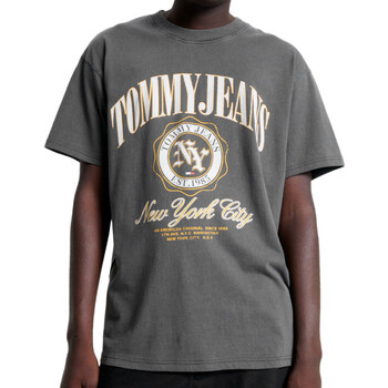 Vêtements Homme T-shirts manches courtes Tommy Pull Hilfiger DM0DM17734 Gris