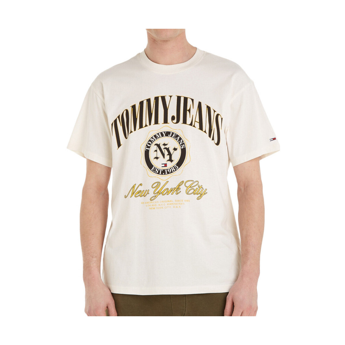 Vêtements Homme T-shirts & Polos Tommy Hilfiger DM0DM17734 Blanc