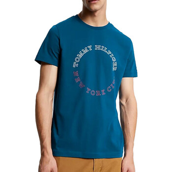 Vêtements Homme T-shirts manches courtes Tommy Pull Hilfiger MW0MW32602 Bleu