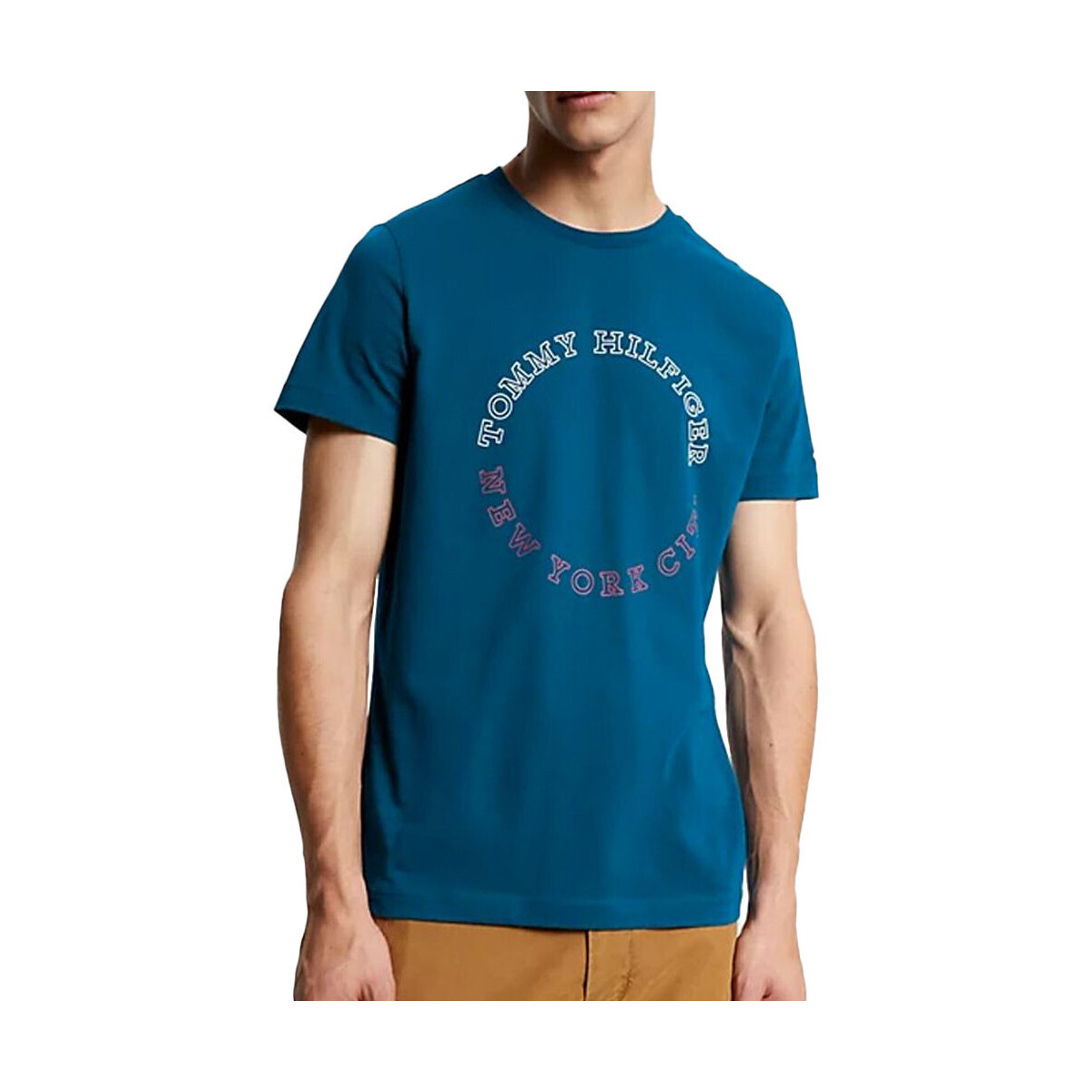 Vêtements Homme T-shirts & Polos Tommy Hilfiger MW0MW32602 Bleu