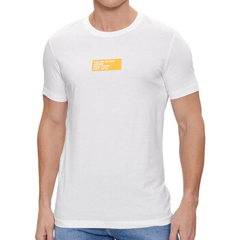 Vêtements Homme T-shirts manches courtes Calvin Klein Jeans J30J324027 Blanc