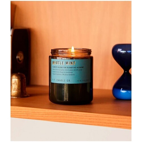 Lire les articles Bougies / diffuseurs P.f. Candle Co PF Candle NO. 4 Myrtle Mint Candle Multicolore