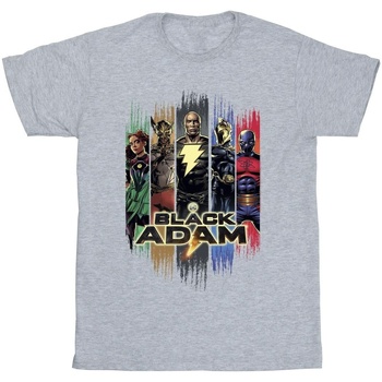 Vêtements Homme T-shirts manches longues Dc Comics Black Adam JSA Complete Group Gris