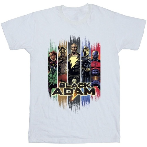 Vêtements Homme T-shirts manches longues Dc Comics Black Adam JSA Complete Group Blanc