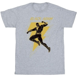 Vêtements Homme T-shirts manches longues Dc Comics Black Adam Golden Bolt Chest Gris