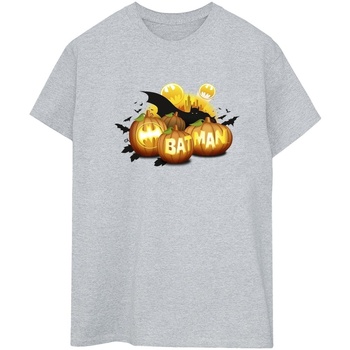 Vêtements Femme T-shirts manches longues Dc Comics Batman Pumpkins Gris
