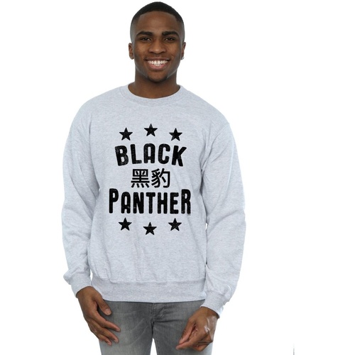 Vêtements Homme Sweats Marvel Black Panther Legends Gris