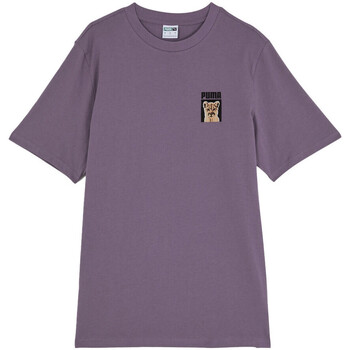 Vêtements Homme T-shirts manches courtes Puma 622794-61 Vert