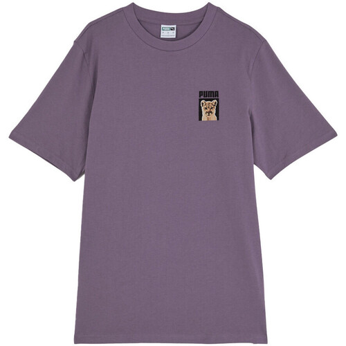 Vêtements Homme T-shirts enmbroidered-logo & Polos Puma 622794-61 Violet