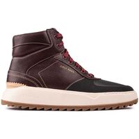 Chaussures Homme Baskets mode Cole Haan Crossover Sneaker Formateurs Marron