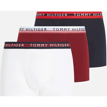 Sous-vêtements Homme Boxers Tommy Prep Hilfiger UM0UM03007 Multicolore