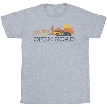 Vêtements Homme T-shirts manches longues Disney Cars Explore The Open Road Gris