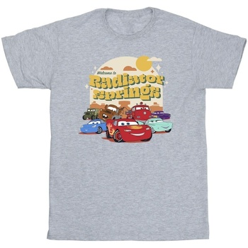Vêtements Homme T-shirts manches longues Disney Cars Radiator Springs Group Gris